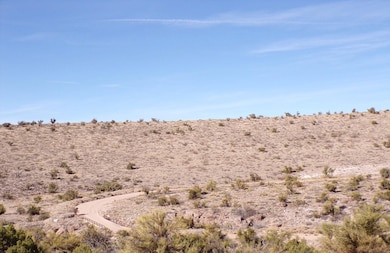 0 Lazy Y U Dr, Kingman, AZ 86401 - photo 4