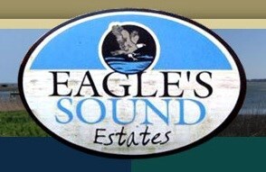 Lot 16 Oyster Cove Ln unit 16, Atlantic, VA 23303 - photo 4