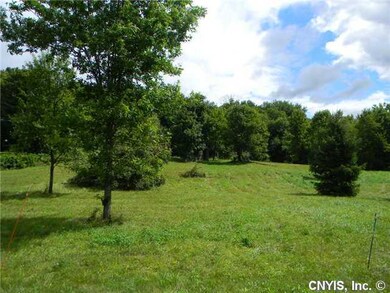 Yard/Garden from street, cabin at center