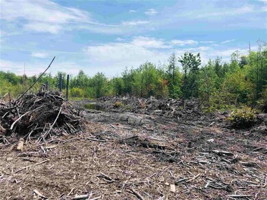 Lot 8 Forest View Dr, Effingham, NH 03882 - photo 4