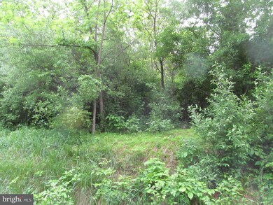 0 Sec 12 Lot 248 Quail Rd unit 1001533920, Basye, VA 22810 - photo 2