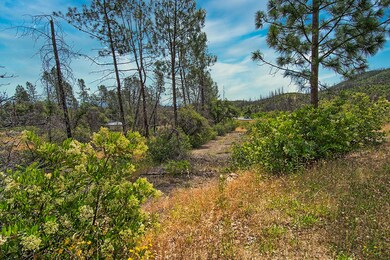 299 acreage-103