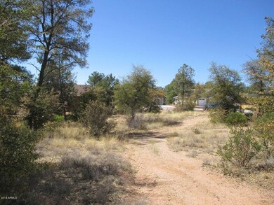 Photo_7