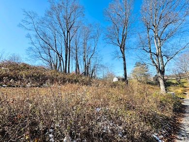 0 Virginia St, Fayetteville, WV 25840 - photo 3