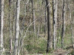 7.53 AC Whitehouse Rd, Fayetteville, AR 72701 - photo 3