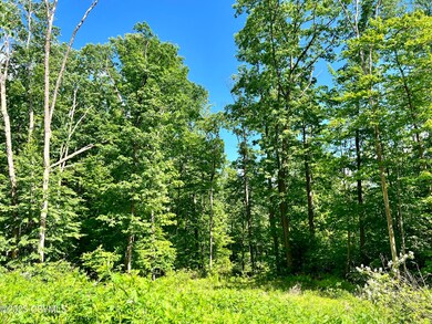 2298 Upper Rd, Shamokin, PA 17872 - photo 7