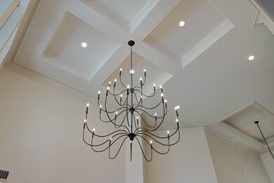 This gorgeous chandelier frames the high ceilings so well and draws attention to the intricate detailed tray ceilings.