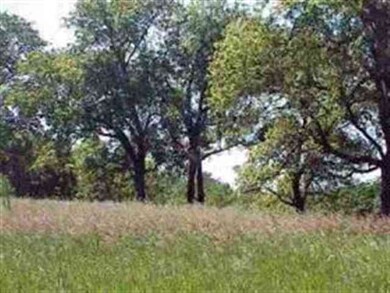 117 Pheasant Run, West Branch, IA 52358 - photo 2