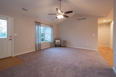 5309 Baseline Pl-37
