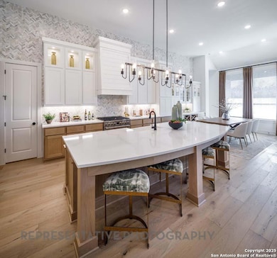 338 Dulce Vista, Boerne, TX 78006 - photo 3