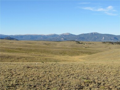 114 Andesite Way, Hartsel, CO 80449 - photo 2