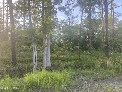 Lot 6