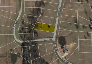 Lot 16 Coyote Creek Dr, Gordonville, TX 76245 - photo 2