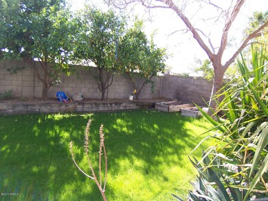 BACK YARD