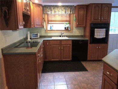 Electric stove top, dishwasher, wall...