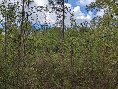 2206 Highway 1 S, Elgin, SC 29045 - photo 6