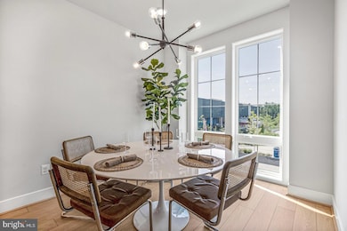 326 Swann Ave, Alexandria, VA 22301 - photo 4