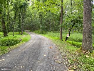 33 Walnut Bottom Hideaway, Moorefield, WV 26836 - photo 6