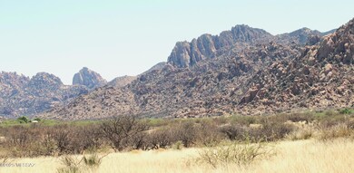 IMG_1852