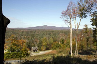 0 Garden Loop Rd unit 2/3/4 4673899, Winhall, VT 05340 - photo 4