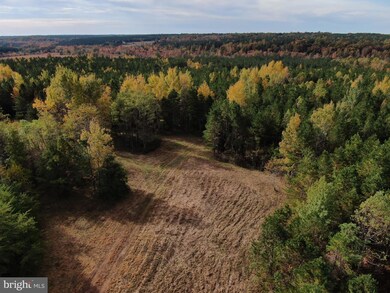 7700 Panier Rd, Spotsylvania, VA 22551 - photo 5