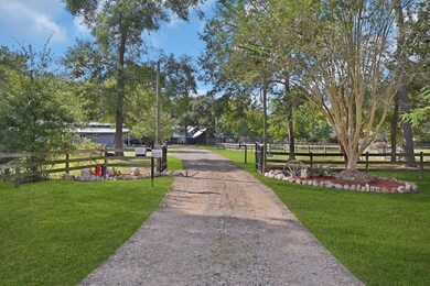 21110 Old Bauer Rd, Hockley, TX 77447 - photo 3