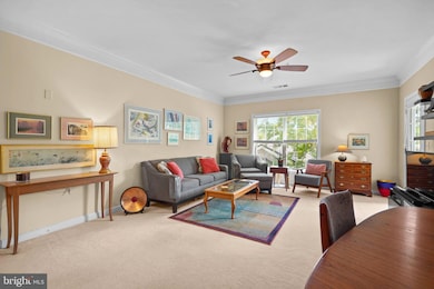 Mill Crossing unit 208, Frederick, MD 21702 - photo 7