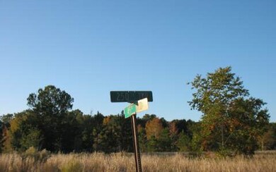 0 250th Terrace, Obrien, FL 32071 - photo 2