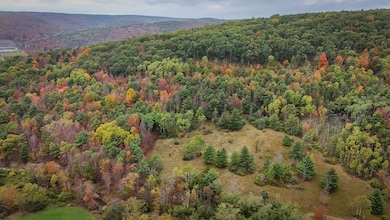 1918 Chambers Rd, Beaver Dams, NY 14812 - photo 2