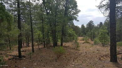 20160624_091949_resized