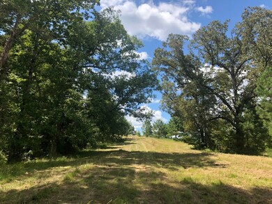 TBD Cr 225, Oxford, MS 38655 - photo 5
