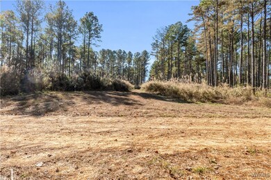 0000 Liberty Bottom Rd, Vernon, AL 35592 - photo 4