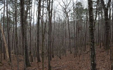 Additional View