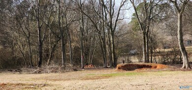 327 Pension Row, Madison, AL 35758 - photo 7