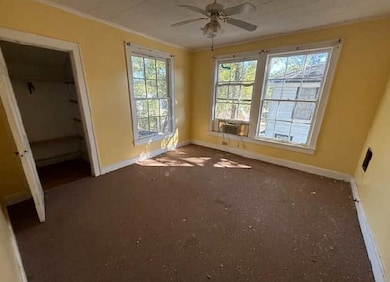 Unfurnished bedroom with crown molding, ceiling fan, a spacious closet, and carpet flooring