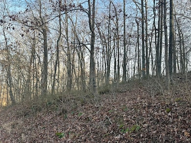 Lot 15 Hensley Rd, East Bernstadt, KY 40729 - photo 5