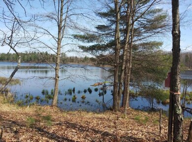 V/L N Beaver Trail, Lilley Township, MI 49309 - photo 2