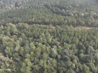 0 Columbia Purvis Rd unit 4131554, Columbia, MS 39429 - photo 6