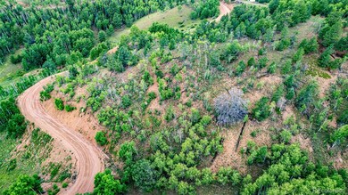 1693 Golden Cycle Cir, Cripple Creek, CO 80813 - photo 7