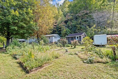 75 Hayes Cove Rd, Leicester, NC 28748 - photo 4