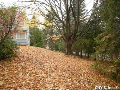 Yard/Garden side yard