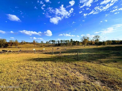 0 Zion Rd unit 4132047, Walnut Grove, MS 39189 - photo 5