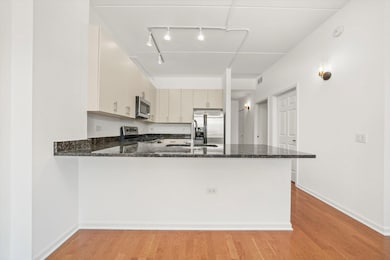 unlisted-address, Chicago, IL 60610 - photo 5