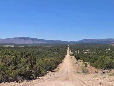 0 County Rd A-102 unit 14, Tajique, NM 87016 - photo 4