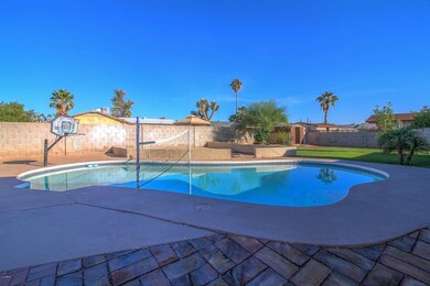 Pool and Yard