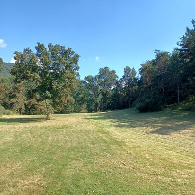 18264 Crab Run Rd, Bergton, VA 22811 - photo 3