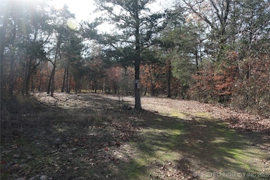 0 Poteau Mountain Rd, Monroe, OK 74947 - photo 2