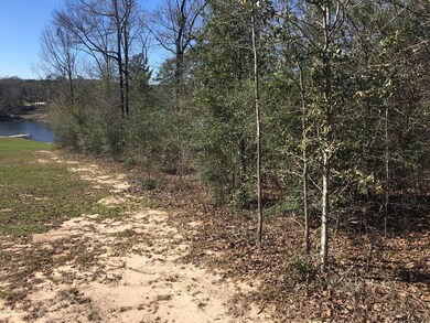 2.01 Acres Blue Spring Rd, Lucedale, MS 39452 - photo 2