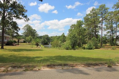 000 Dr, Alma, GA 31510 - photo 2