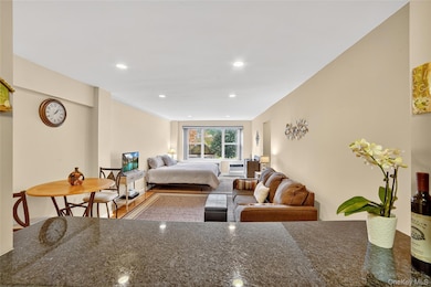 10 Old Mamaroneck Rd unit 4K, White Plains, NY 10605 - photo 4